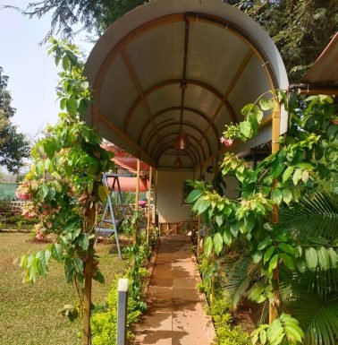 WhatsApp Image 2026-01-31 at 11.54.58